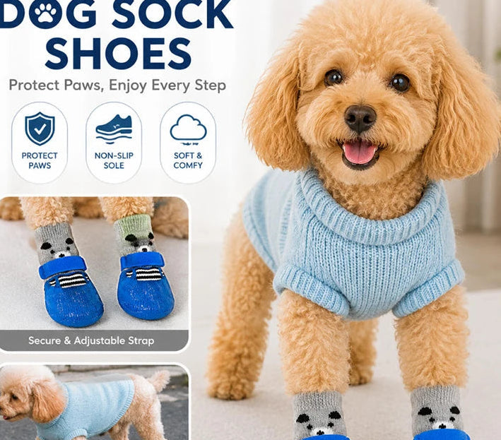 Keep Your Dog's Paws Dry